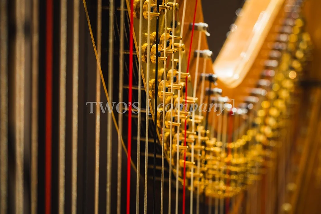 TCF_Piano:Harp_Image ID_1.jpg