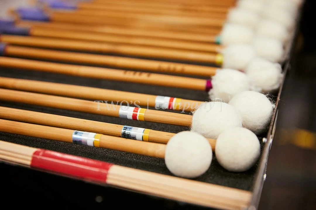 TCF_Percussion_Image ID_9.jpg