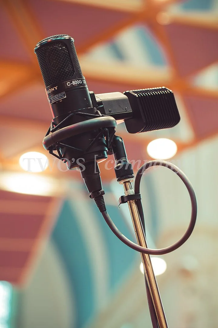 TCF_Microphone_Image ID_6.jpg