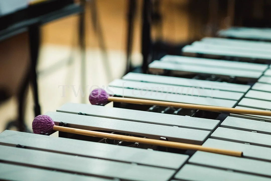 TCF_Percussion_Image ID_2.jpg