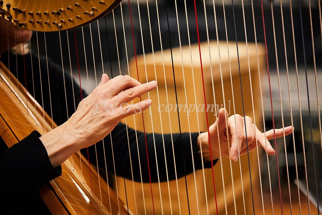 TCF_Piano:Harp_Image ID_15.jpg
