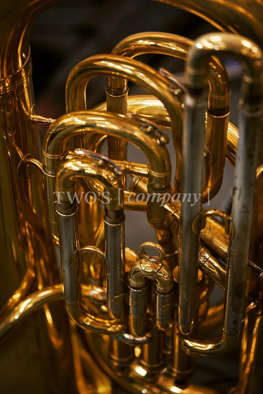 TCF_Brass_Image ID_7.jpg