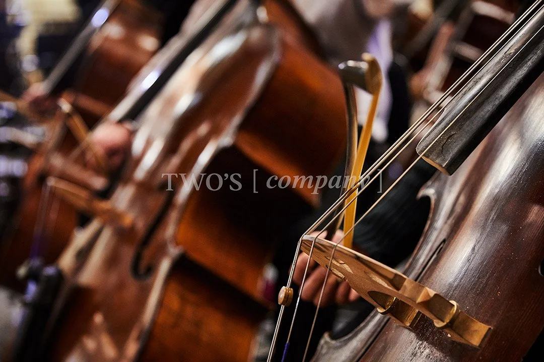 TCF_Strings_Image ID_15.jpg