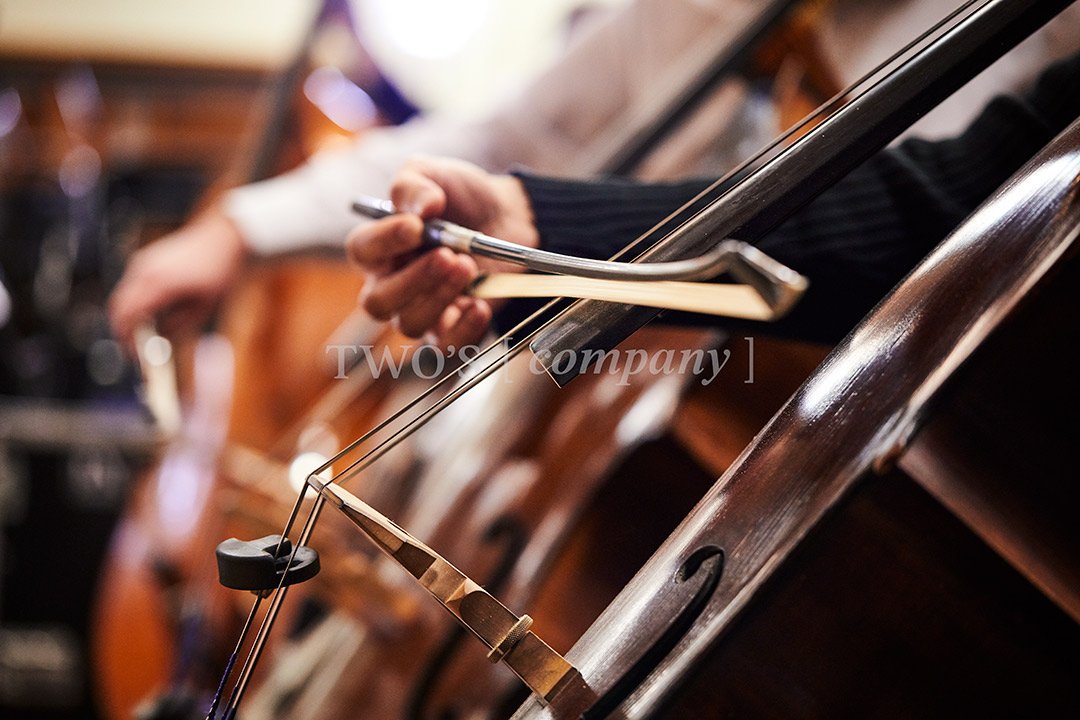 TCF_Strings_Image ID_14.jpg