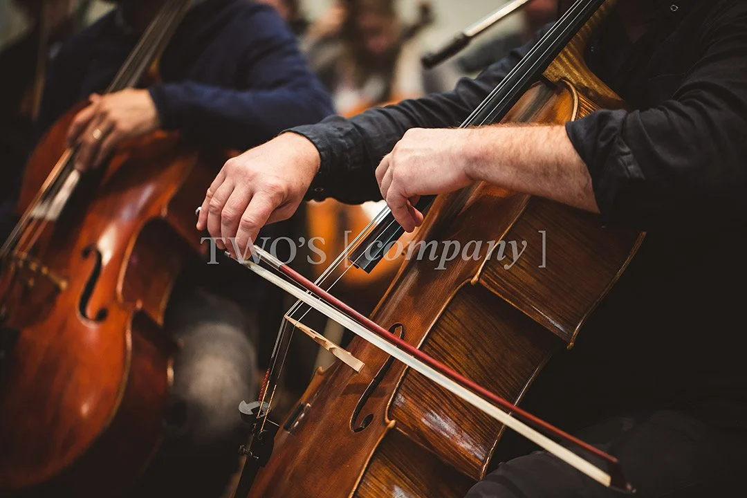 TCF_Strings_Image ID_9.jpg