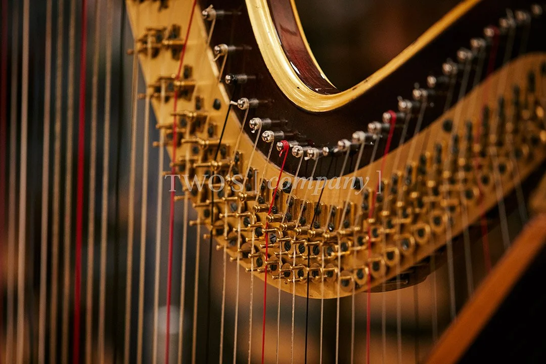 TCF_Piano:Harp_Image ID_5.jpg