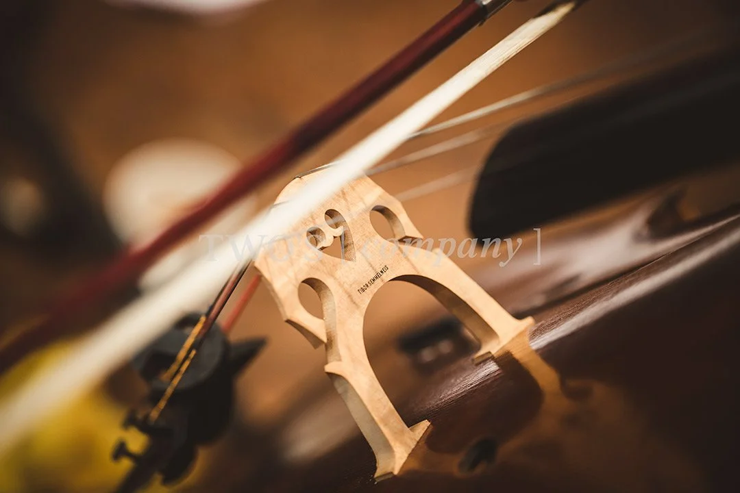 TCF_Strings_Image ID_7.jpg