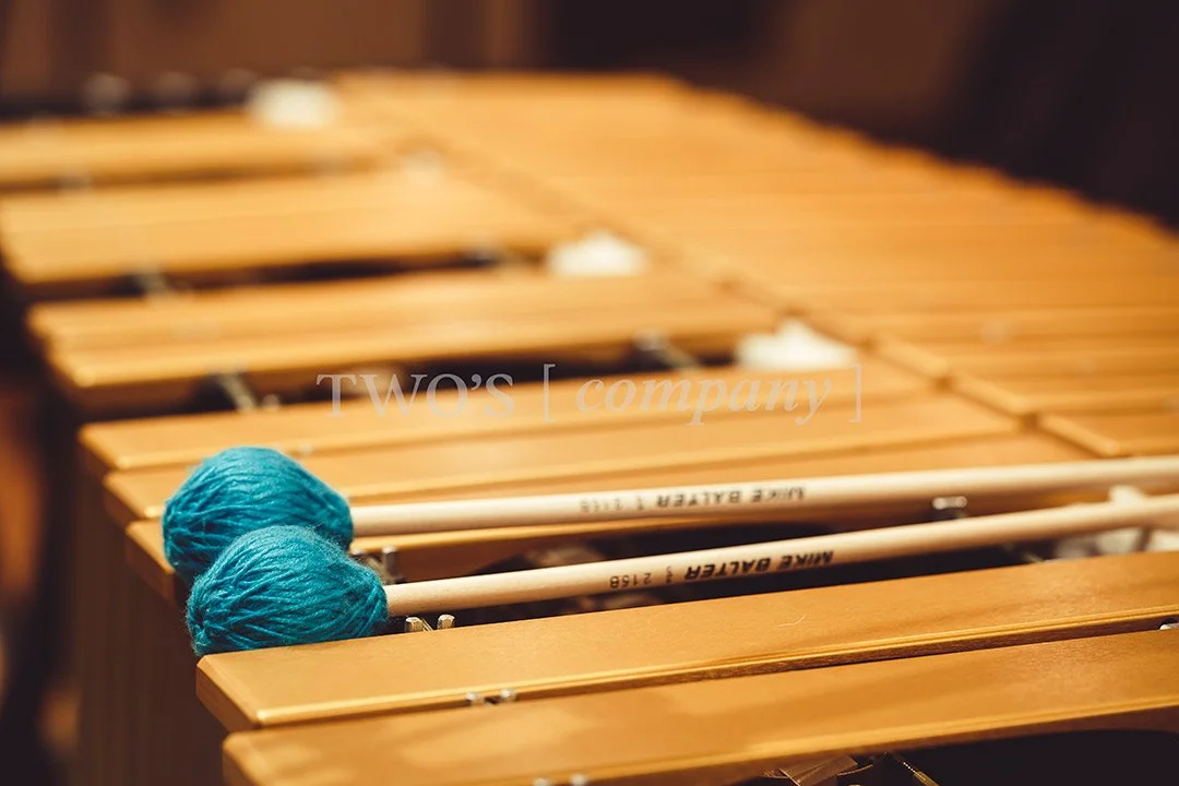 TCF_Percussion_Image ID_6.jpg