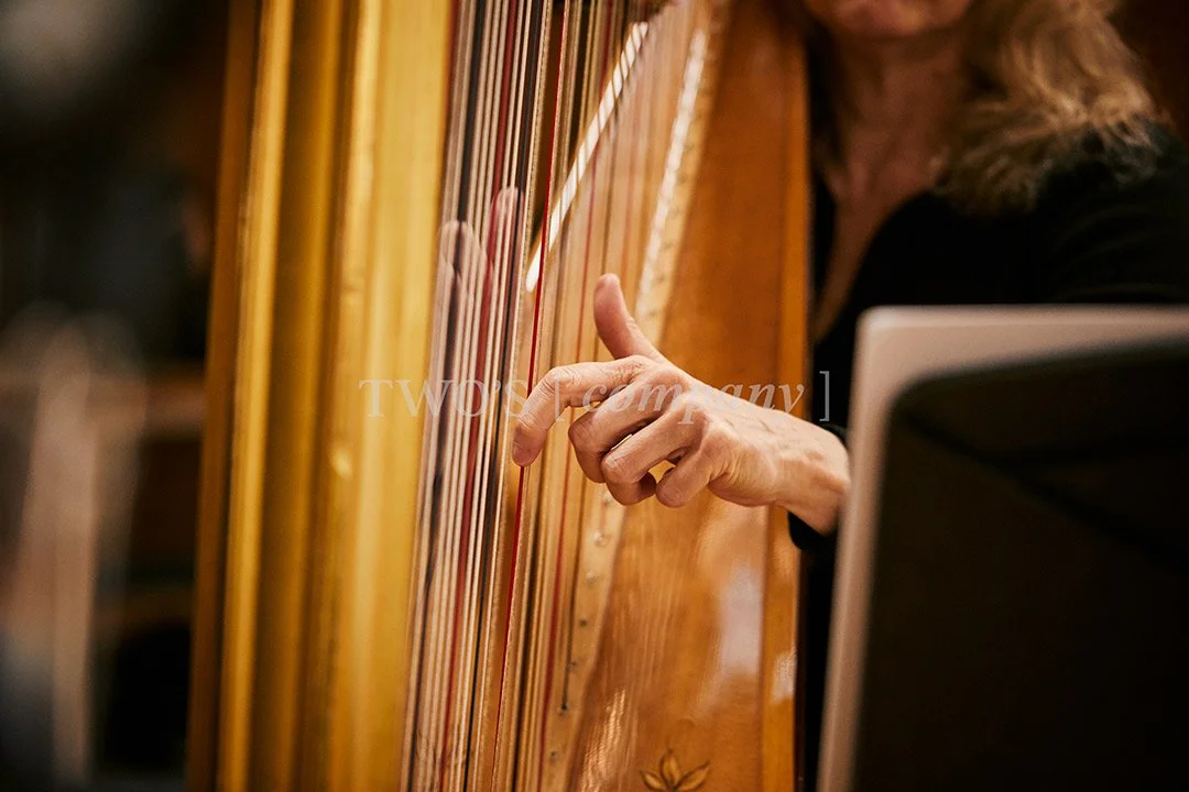 TCF_Piano:Harp_Image ID_6.jpg