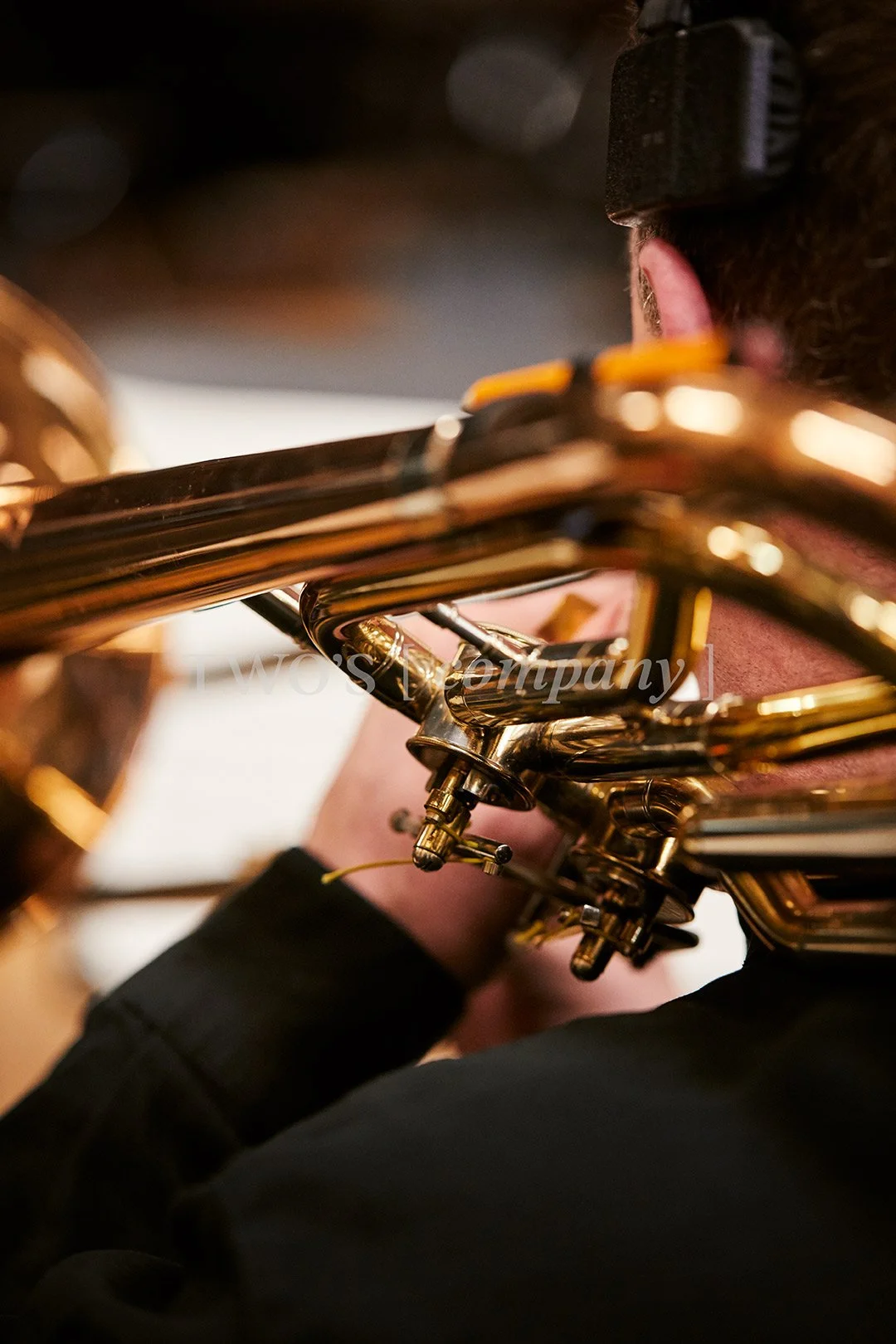 TCF_Brass_Image ID_5.jpg