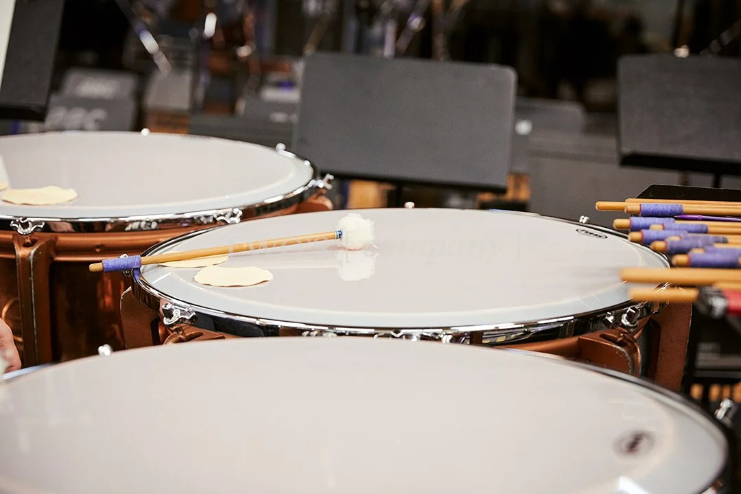TCF_Percussion_Image ID_10.jpg