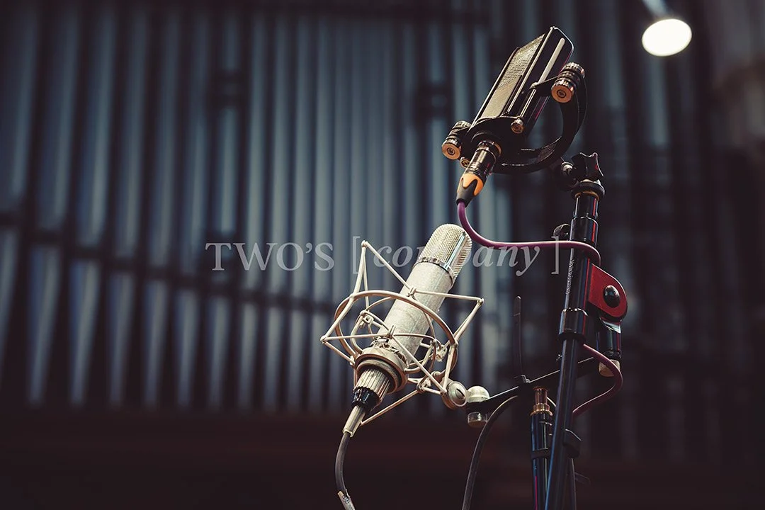 TCF_Microphone_Image ID_4.jpg