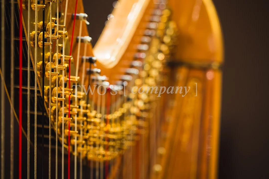 TCF_Piano:Harp_Image ID_2.jpg