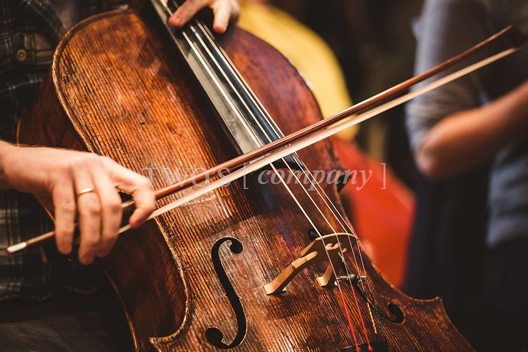 TCF_Strings_Image ID_8.jpg