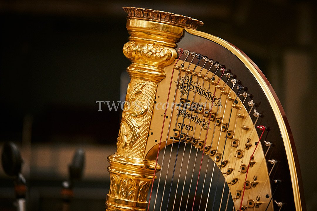 TCF_Piano:Harp_Image ID_4.jpg
