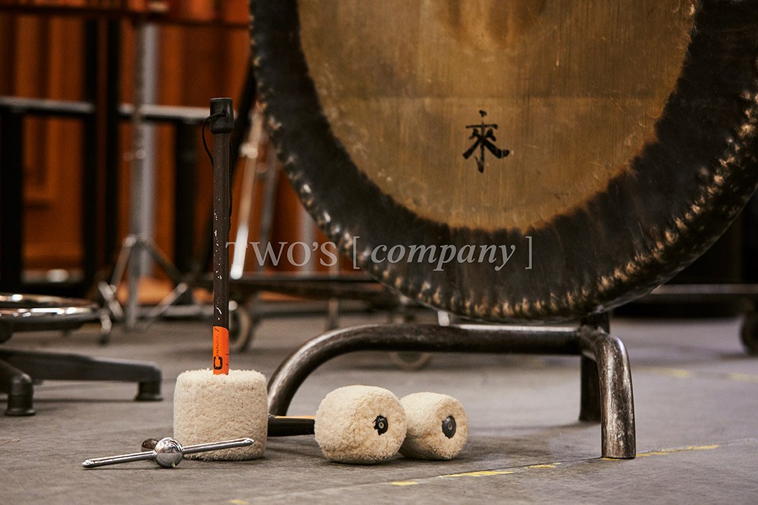 TCF_Percussion_Image ID_25.jpg