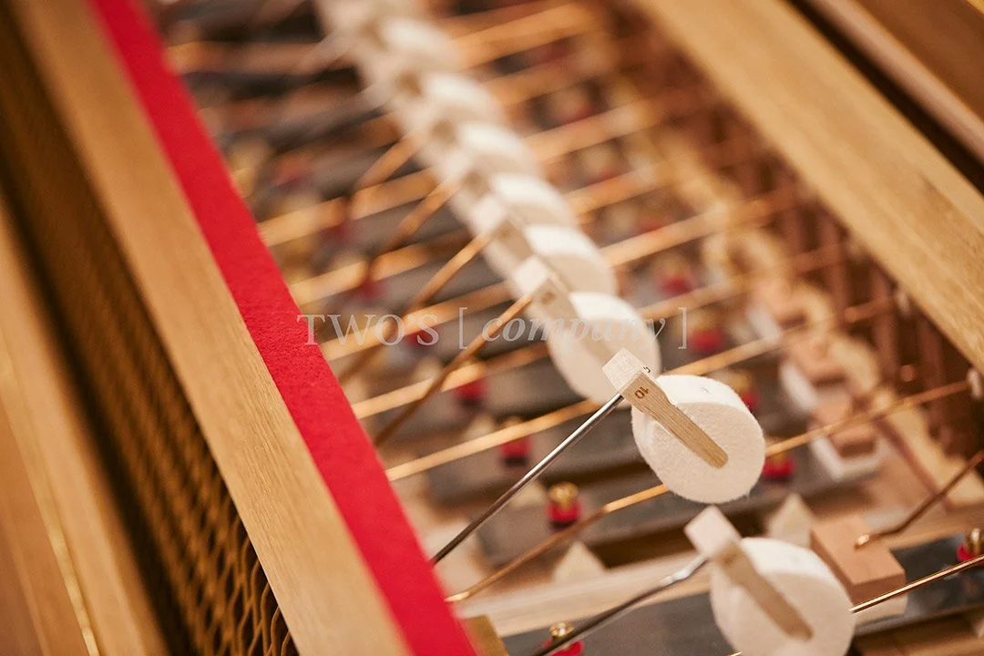 TCF_Piano:Harp_Image ID_7.jpg