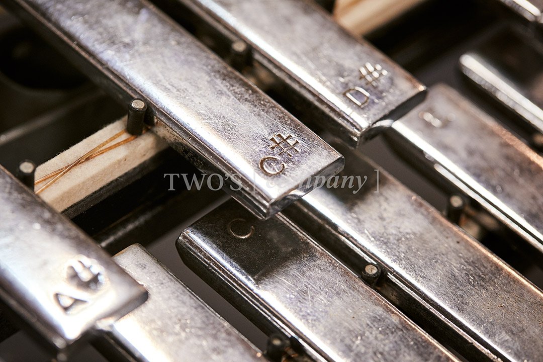 TCF_Percussion_Image ID_32.jpg
