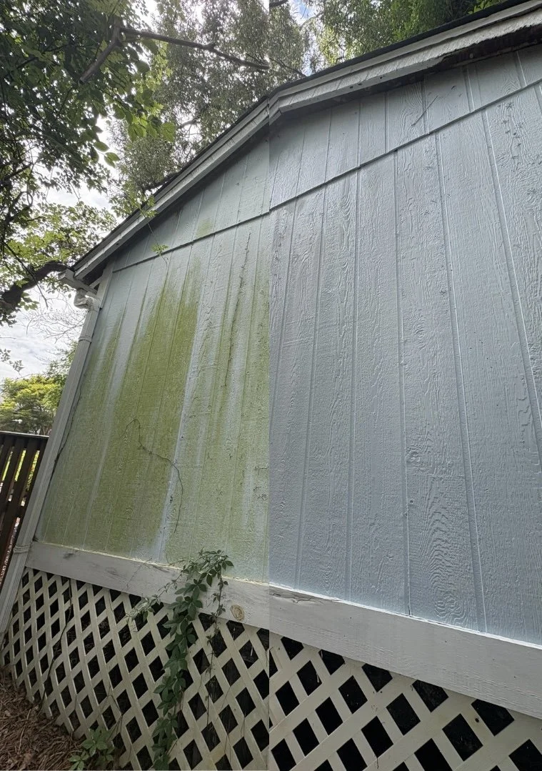 The side of a house with blue painted siding, showing a section with green mold or moss on the left and clean blue area on the right.