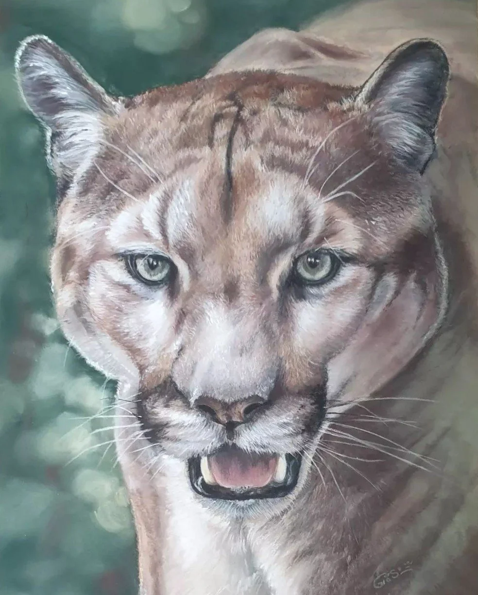 ▼
   La Porte du Soleil    

2022 
Pastel sec sur Pastelmat 
Format 30 x 40 cm 

 Disponible  
(sera livré avec un  certificat d'authenticité  signé par la main de l'artiste) 

 
   
    DÉCOUVRIR L'OEUVRE →
   
 

  

