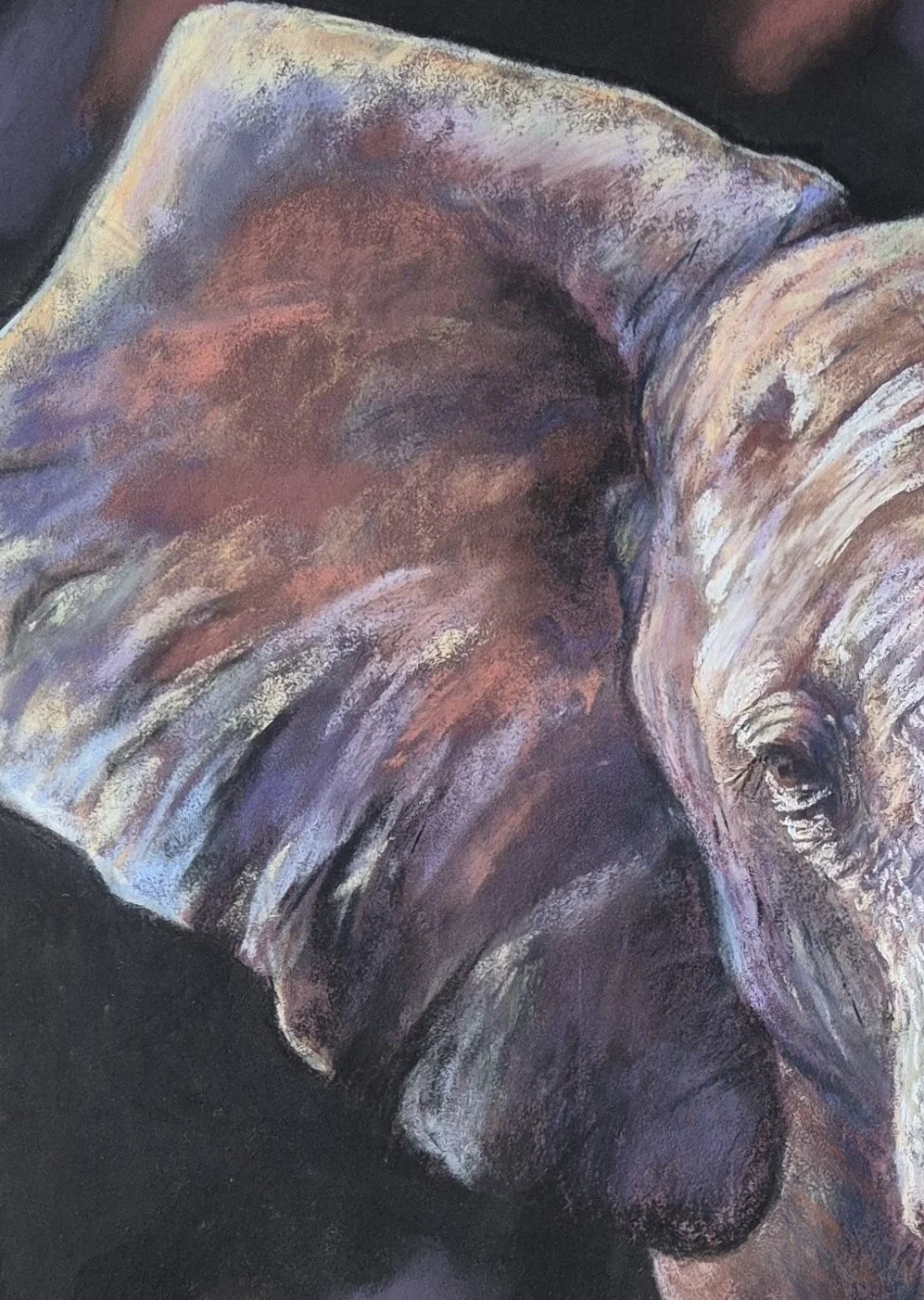 Out of Africa The Elephant_oreille gauche.jpg