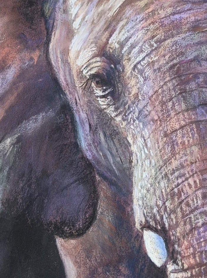 Out of Africa The Elephant^_côté gauche.jpg