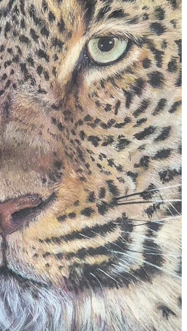 Out of Africa The Leopard_oeil droit.jpg