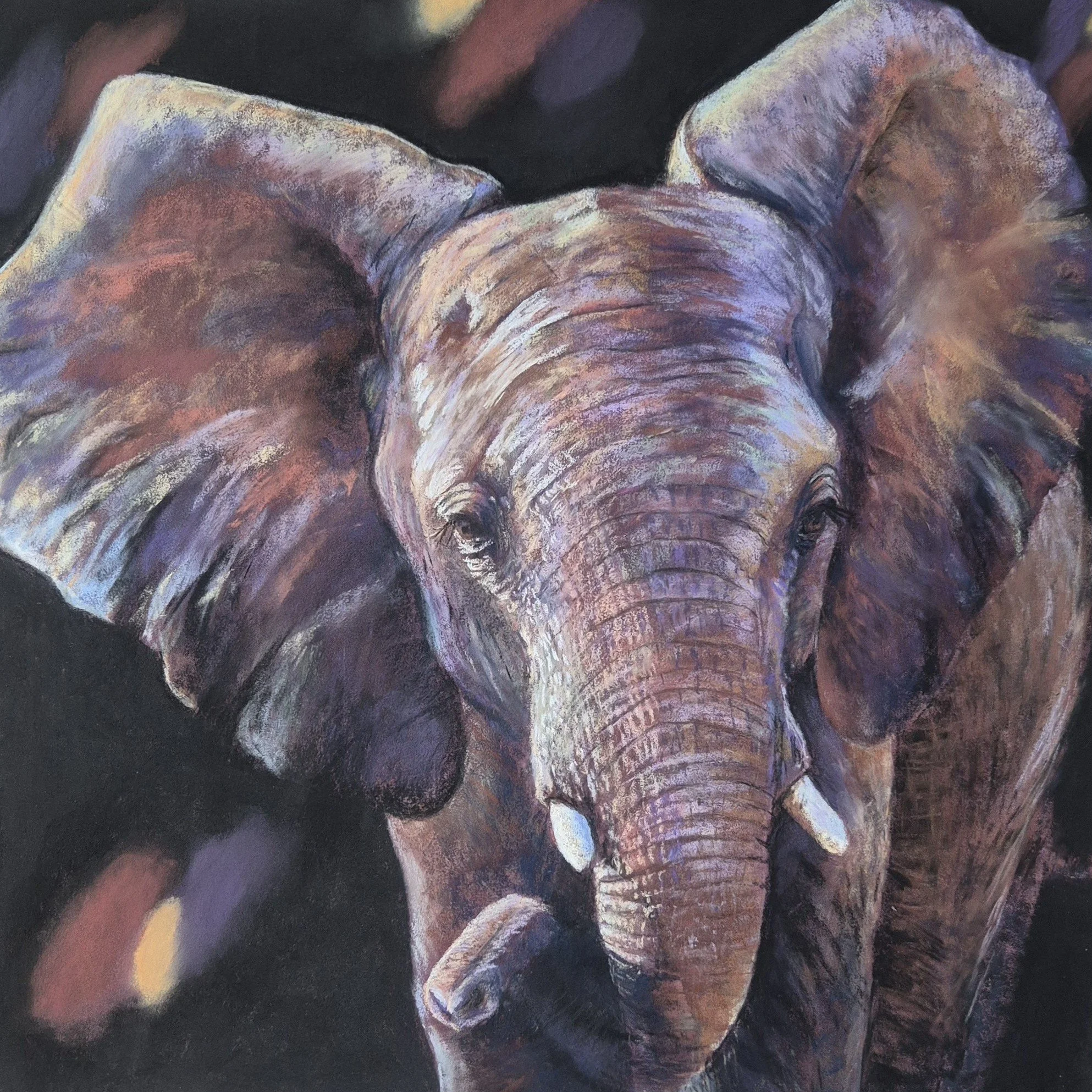 ▼
   Out of Africa, the Elephant    

2026 
Pastel sec sur Pastelmat 
Format 50 x 50 cm 

 Disponible   
(sera livré avec un  certificat d'authenticité  signé par la main de l'artiste)

 
   
    DÉCOUVRIR LA SÉRIE →
   
 

  
