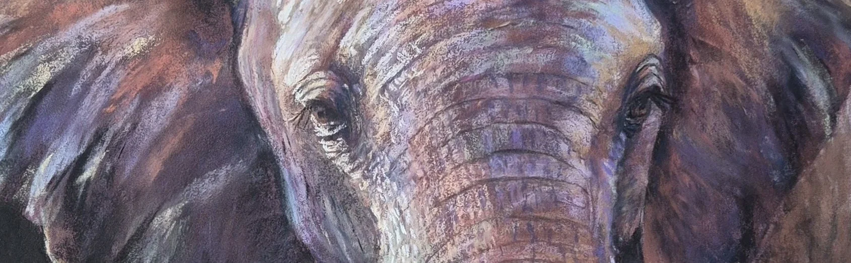 Out of Africa The Elephant_regard.jpg