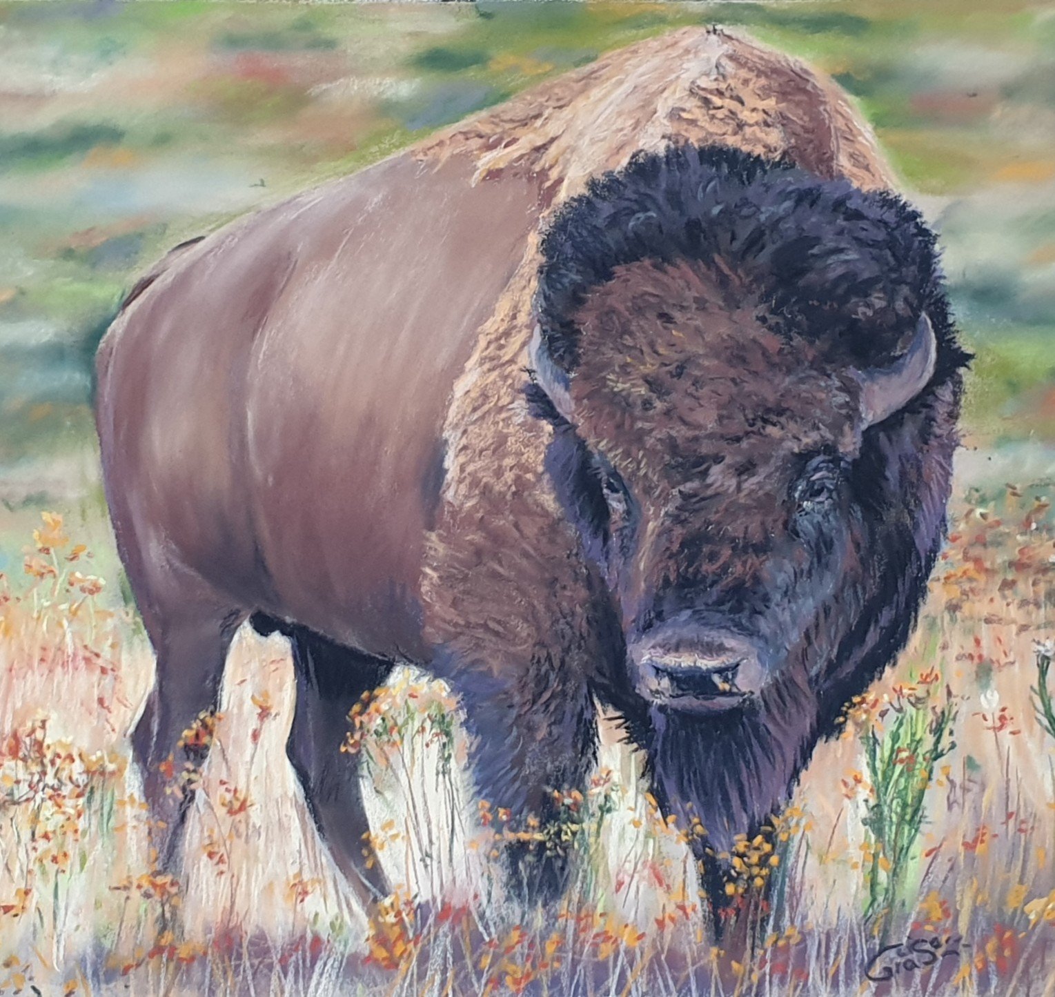 La Pardon du Grand Bison.jpg