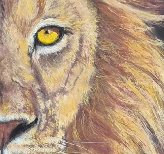 Out of Africa The Lion. oeil droit.jpg