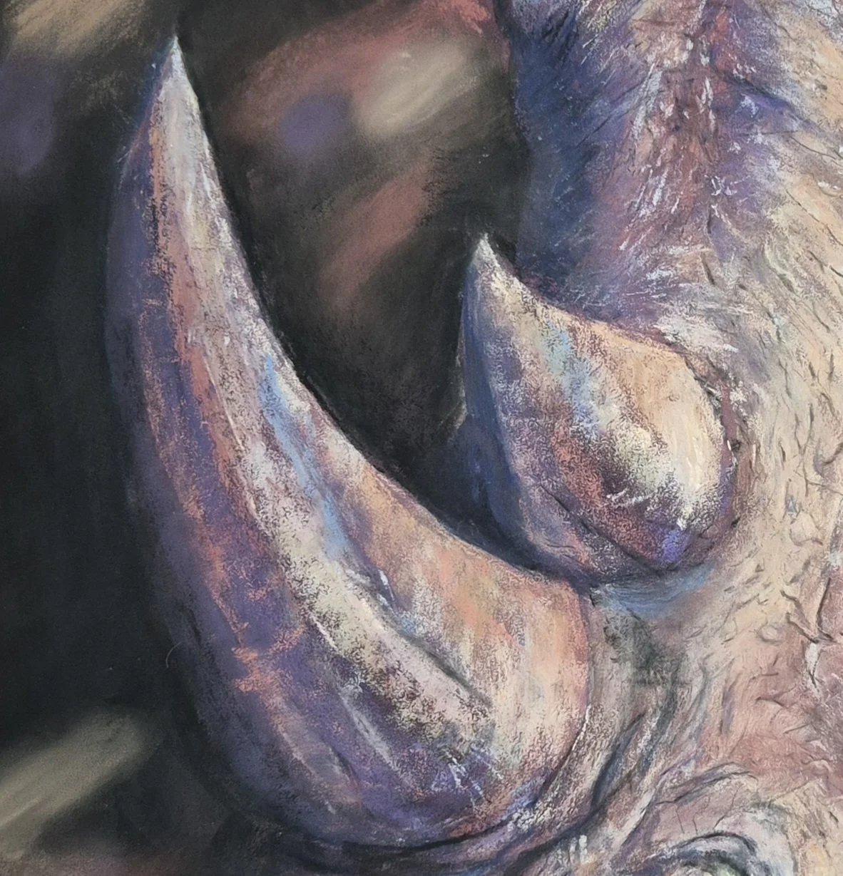 Out of Africa The Rhinoceros_cornes.jpg