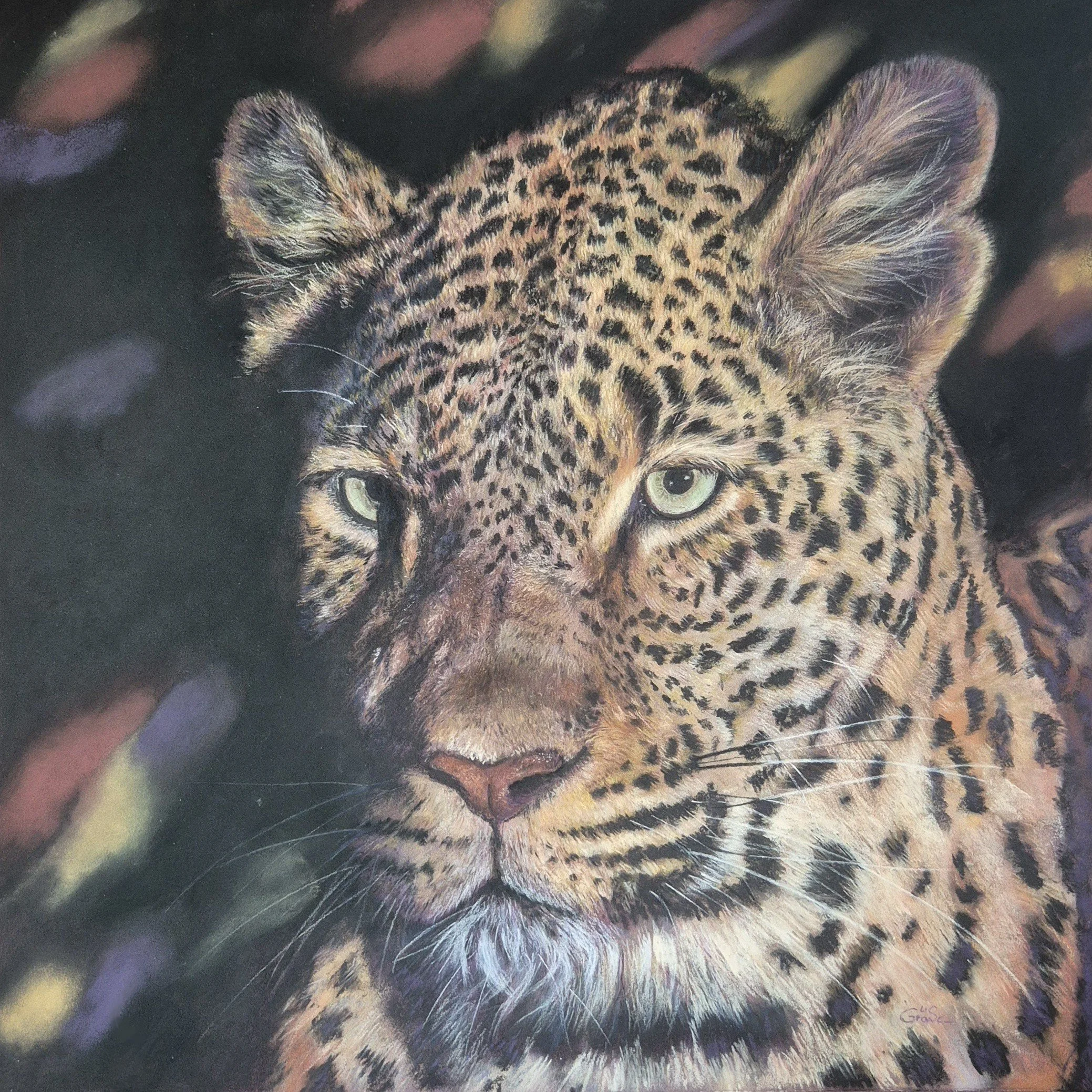 Out of Africa, the Leopard