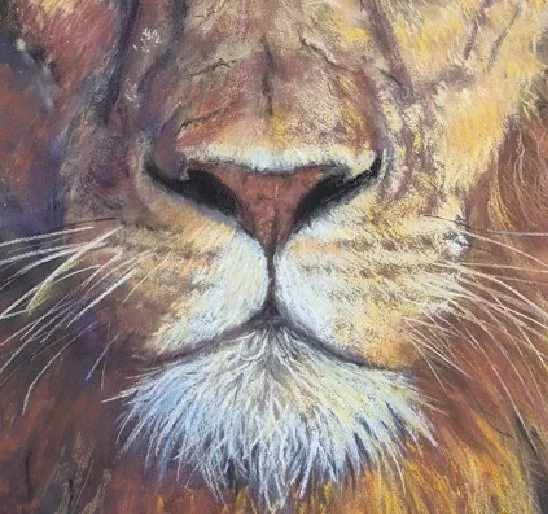 Out of Africa The Lion. gueule.jpg