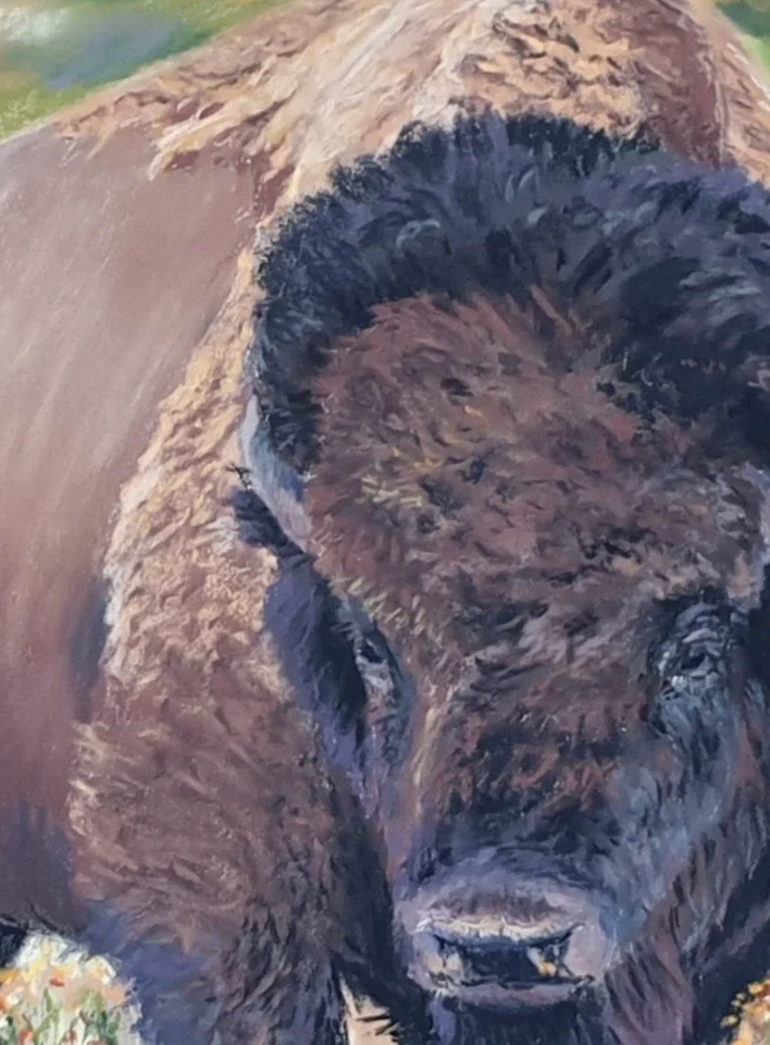 La Pardon du Grand Bison_Gros plan.jpg