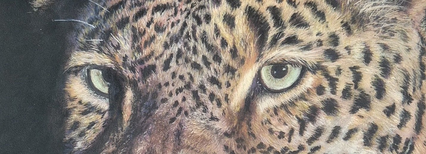Out of Africa The Leopard_regard2.jpg