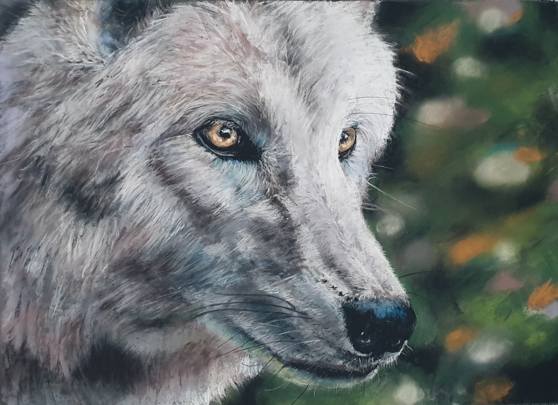 ▼
   Le Voyage du Loup    

2023 
Pastel sec sur Pastelmat 
Format 30 x 40 cm 

Vendu

 
   
    DÉCOUVRIR LA SÉRIE →
   
 

  
