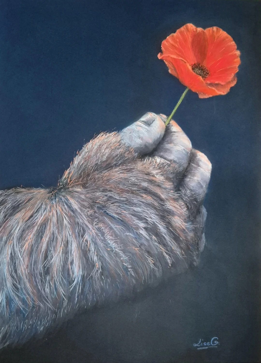 ▼
   Force et Fragilité    

2025 
Pastel sec sur Pastelmat 
Format:  
70 x 50 cm (sans cadre) 
83 x 63 cm  avec cadre  
 Cette œuvre est déjà encadrée.  

Cadre professionnel, baguettes en bois noires, passepartout noir avec liseré blanc, vitre