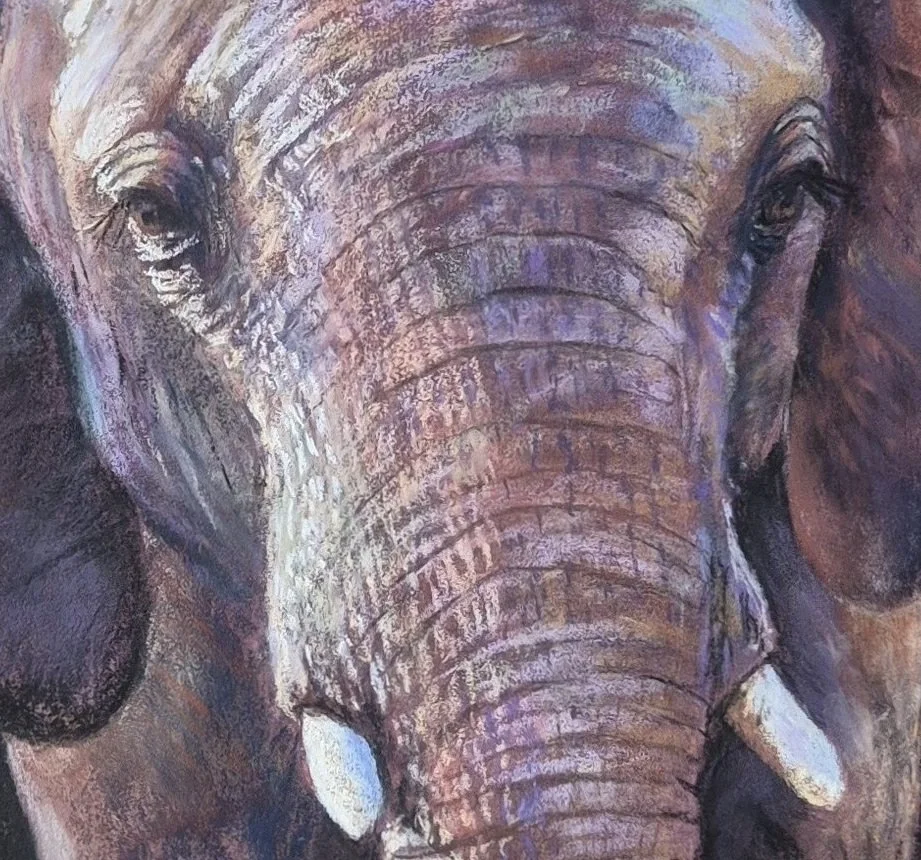 Out of Africa The Elephant_face.jpg