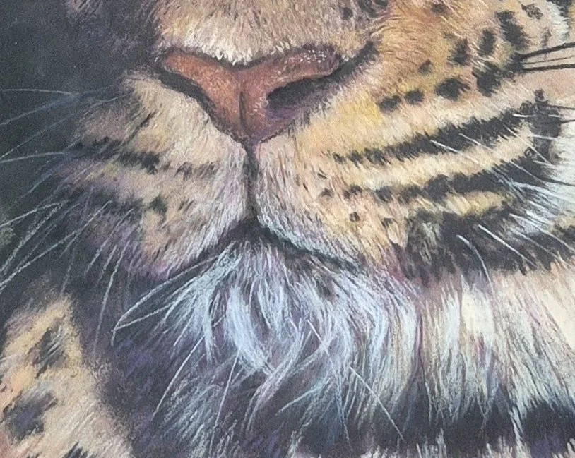 Out of Africa The Leopard_gueule.jpg