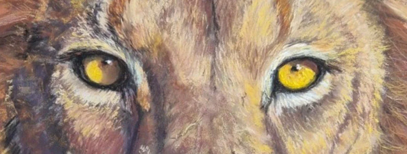 Out of Africa The Lion. les yeux2.jpg