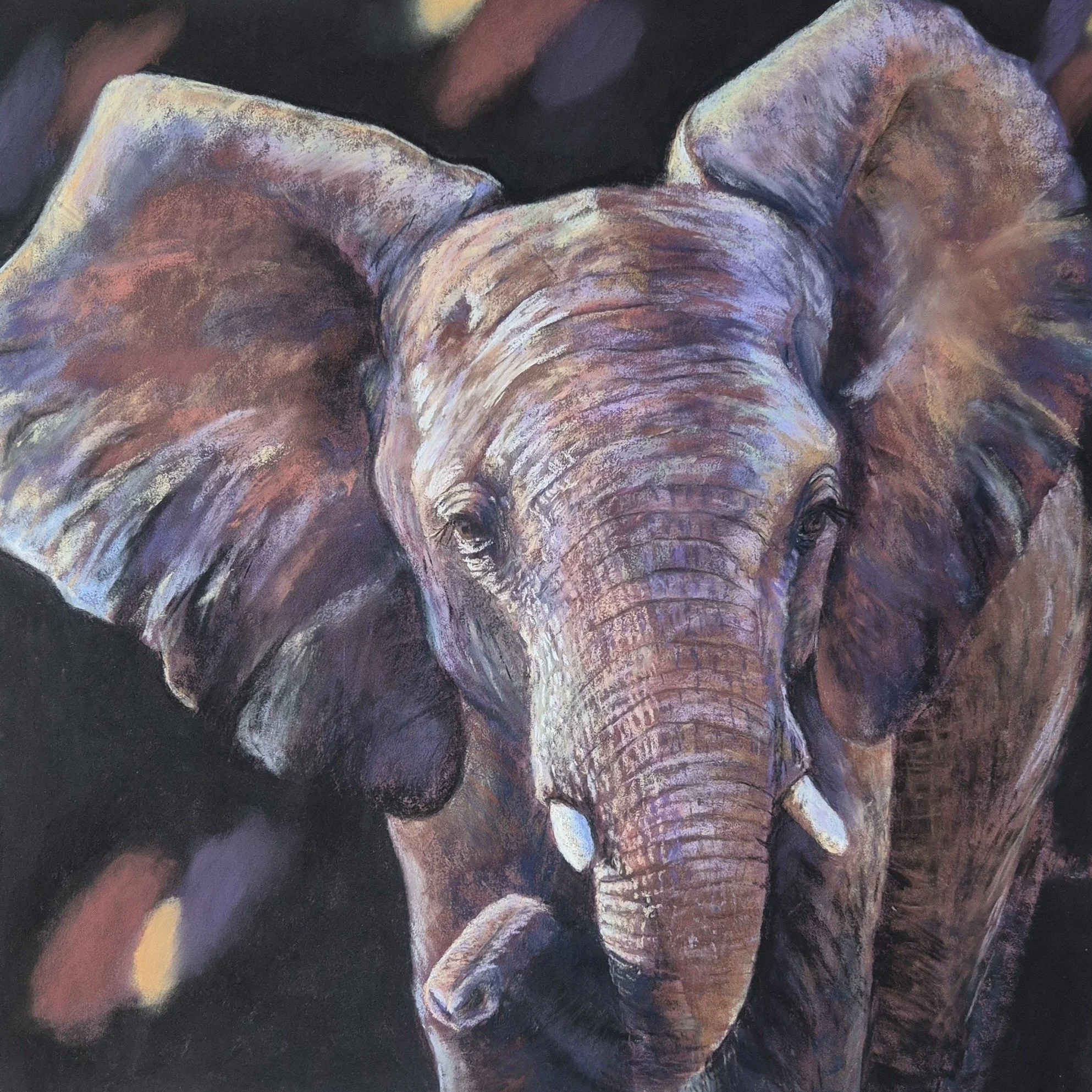 Out of Africa, the Elephant