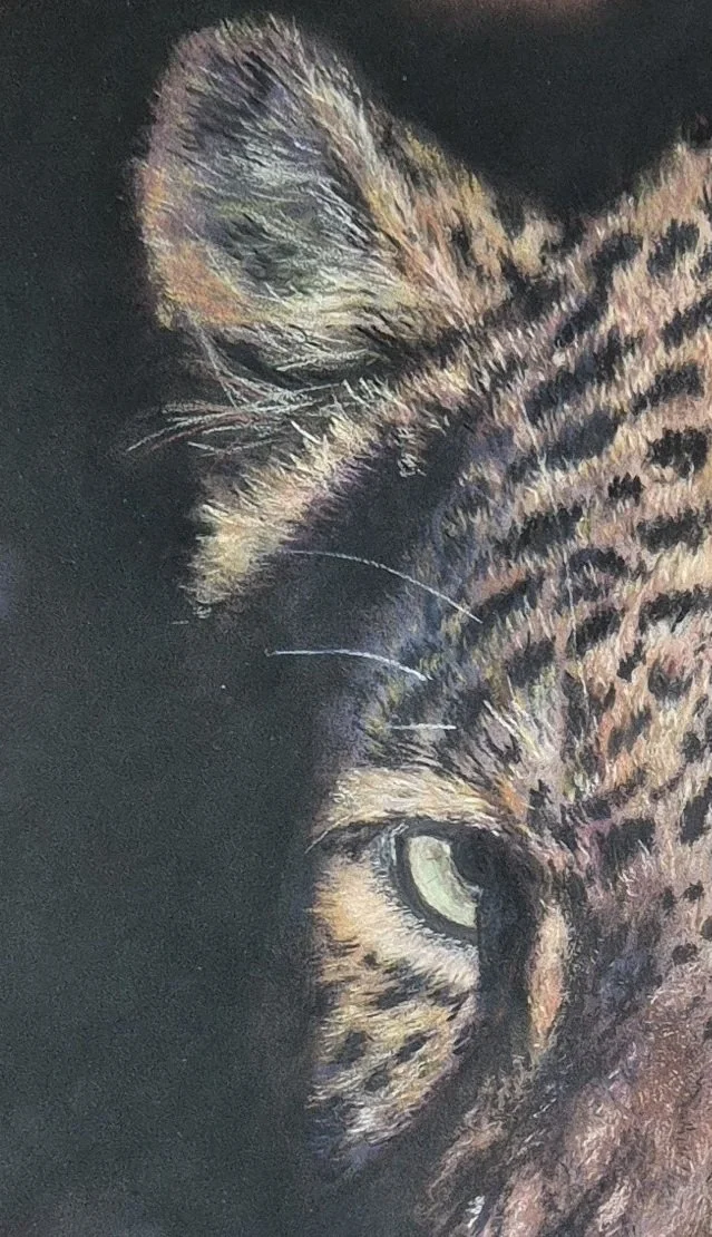 Out of Africa The Leopard_oeil gauche.jpg