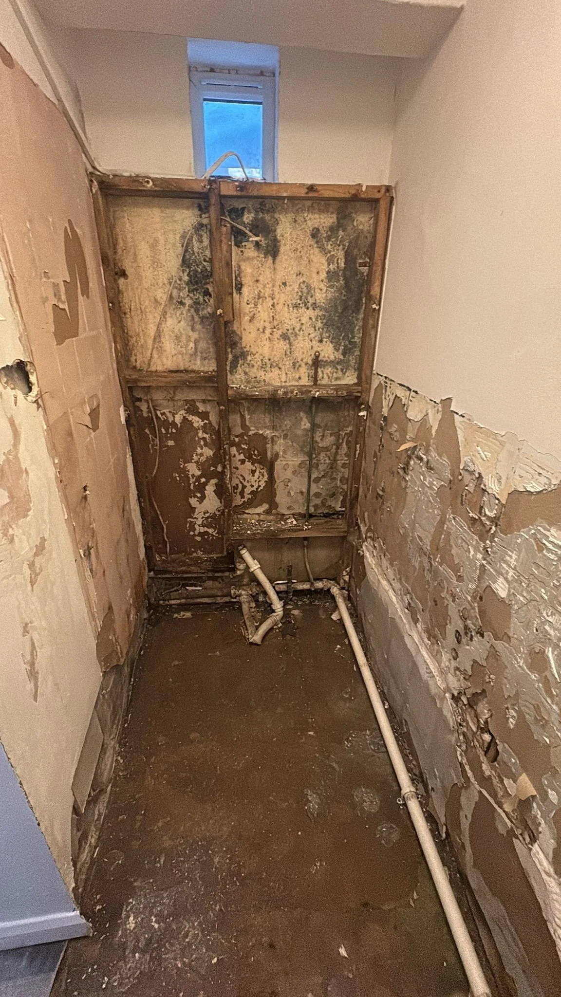 Before – damp-affected room