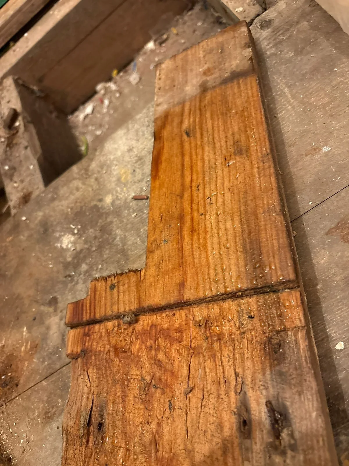 Before: water-saturated timber floorboard with surface moisture — Bexhill