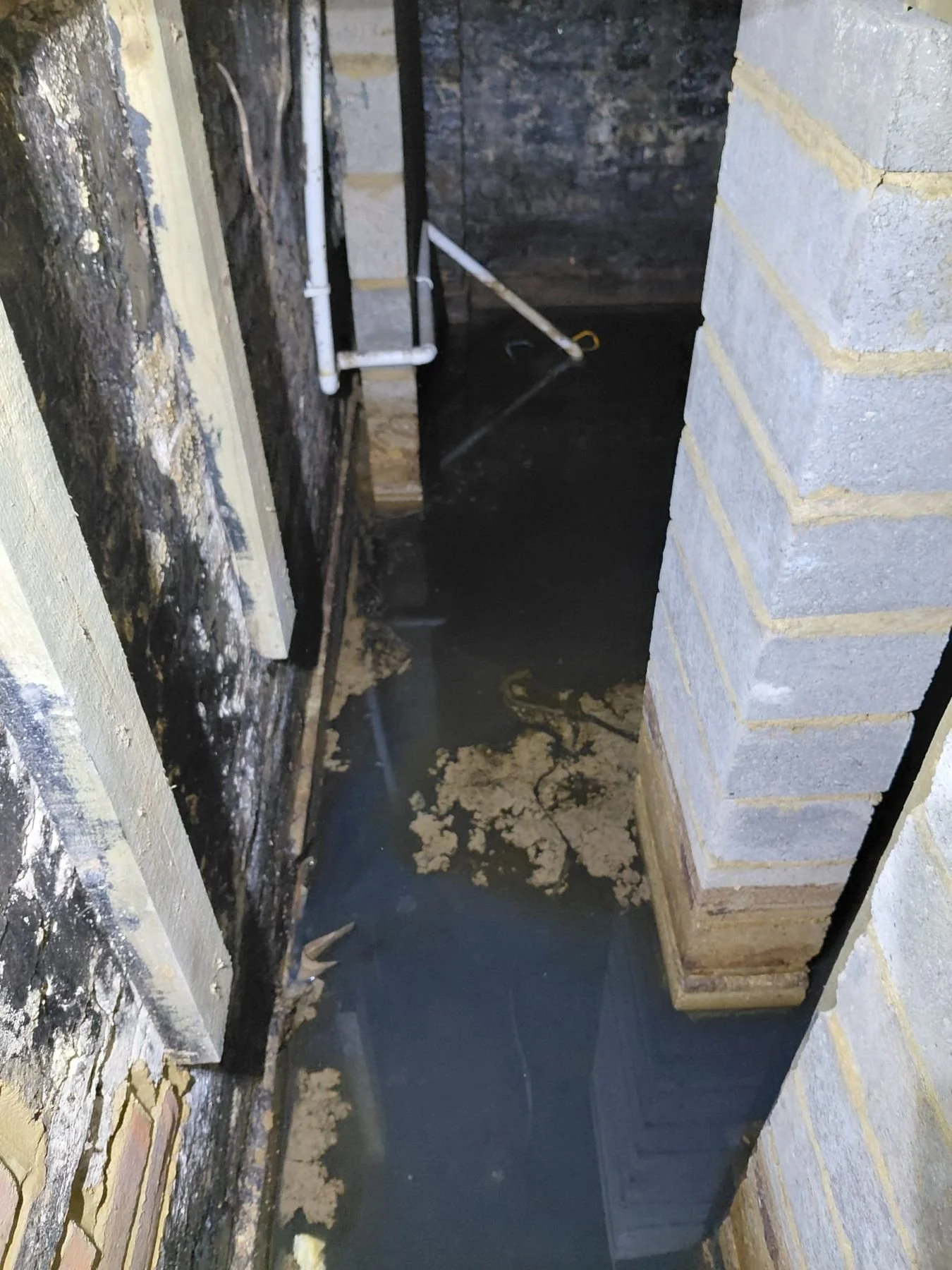 Before: flooded basement passageway and damp masonry — Bexhill