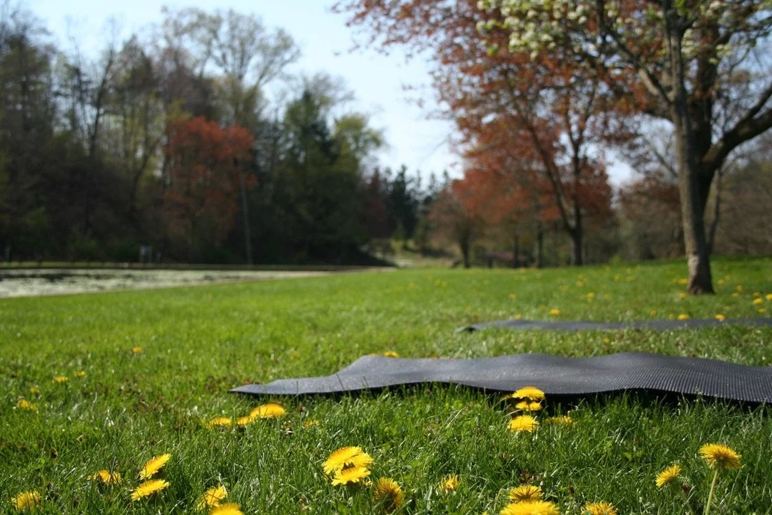 Yoga on the Lawn