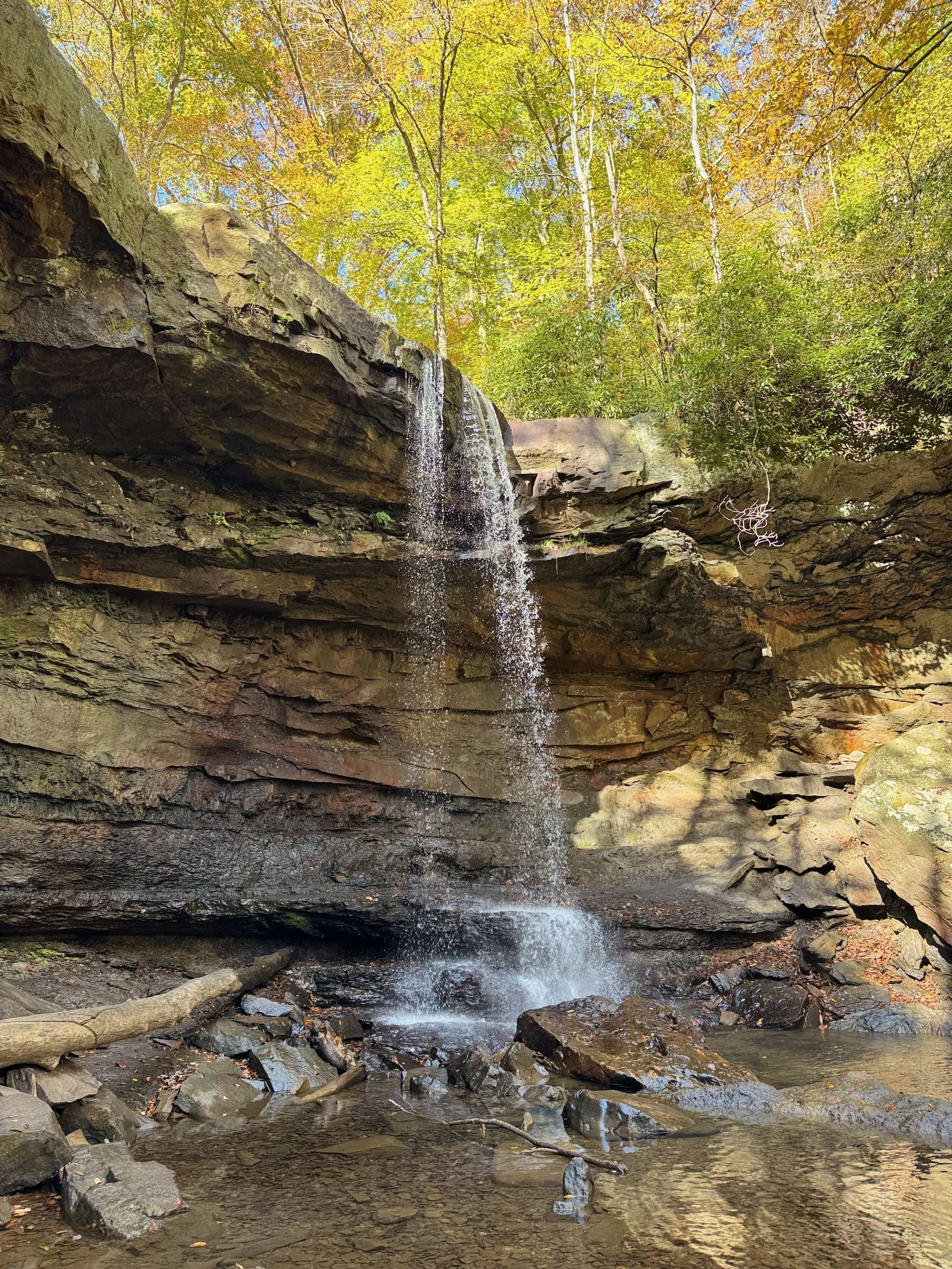 Fall In: Restorative Yoga