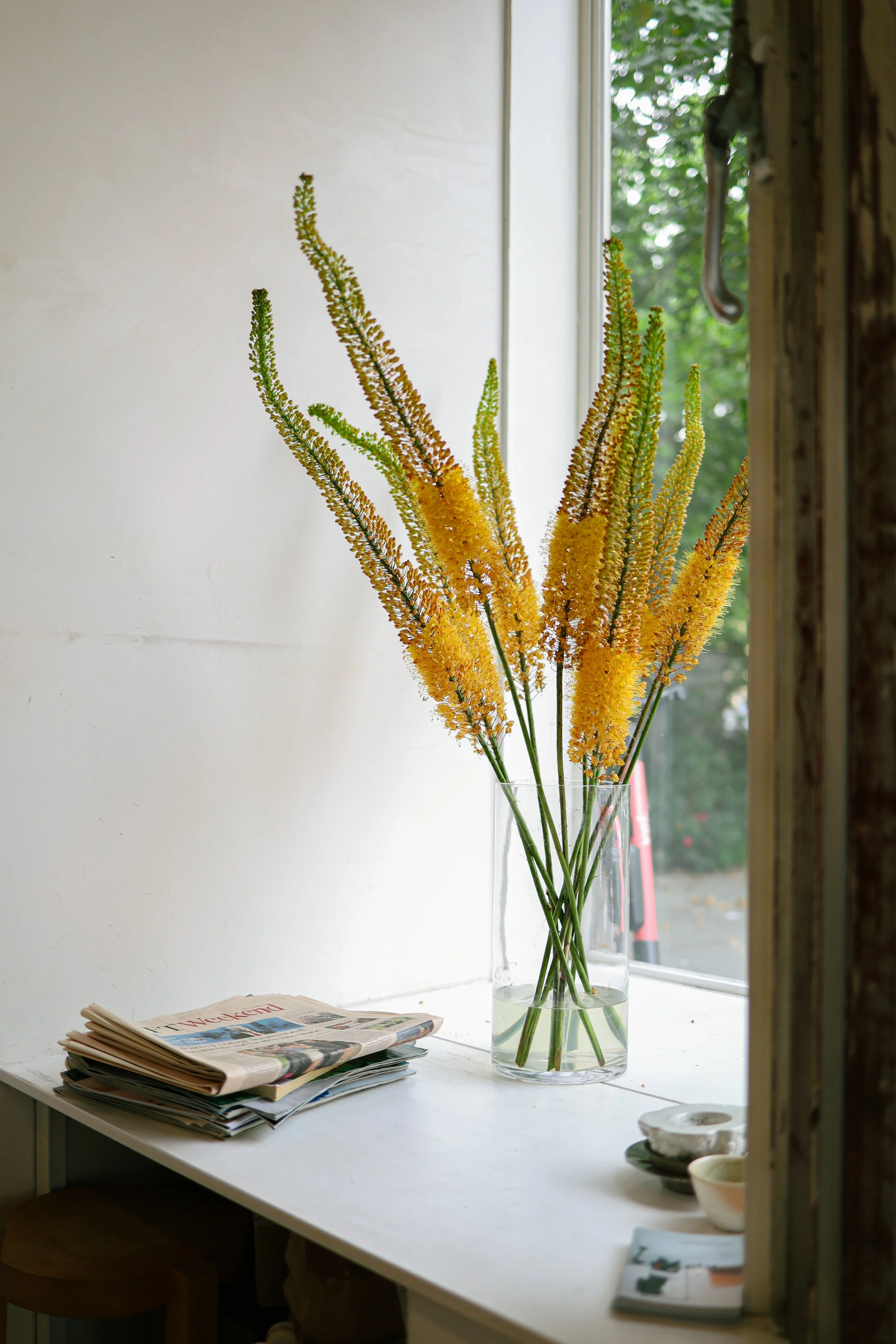 Food photography at Ernst coffee shop and restaurant in Berlin