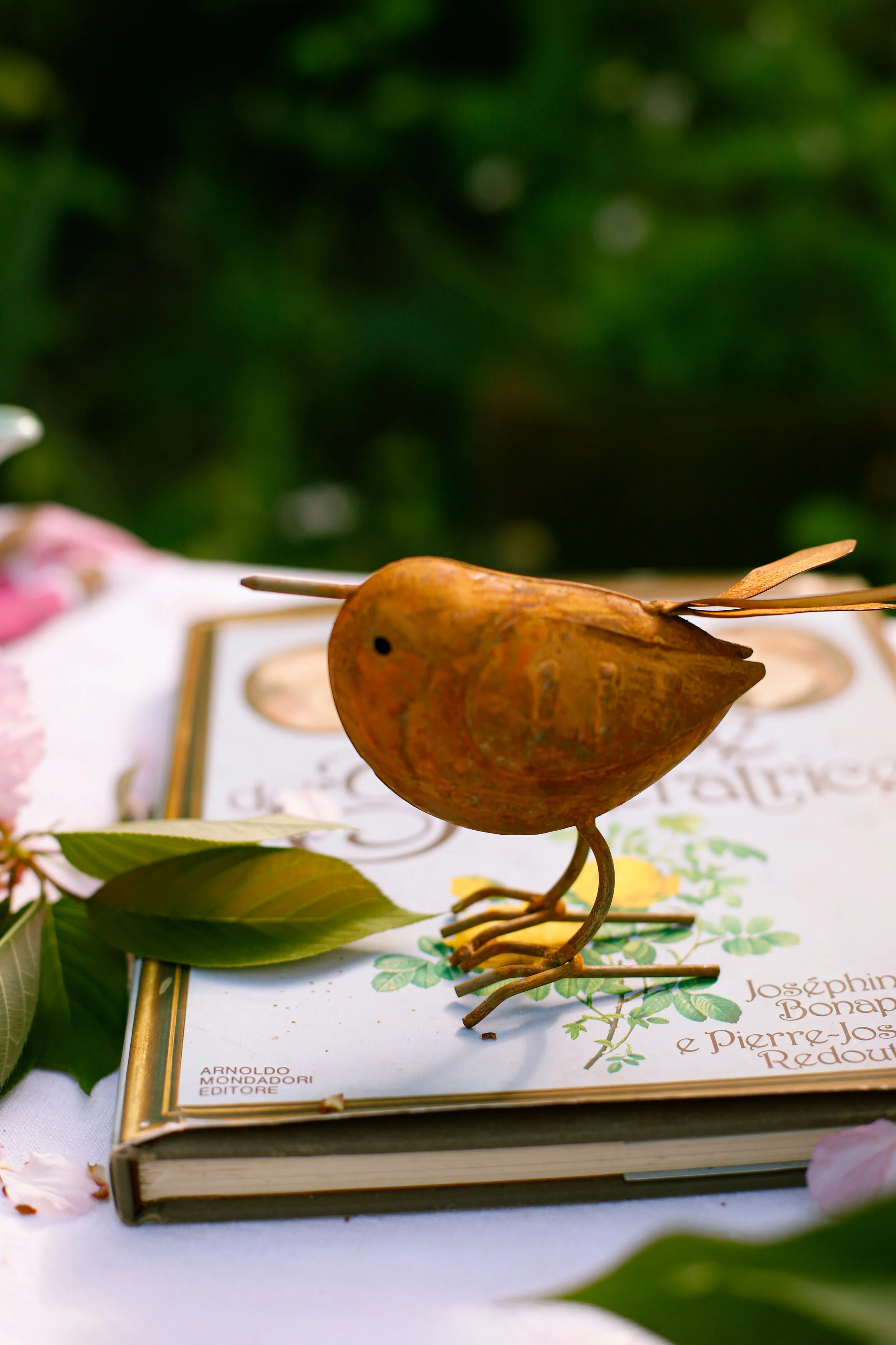 Styling and Photos for Biancheria Parlante